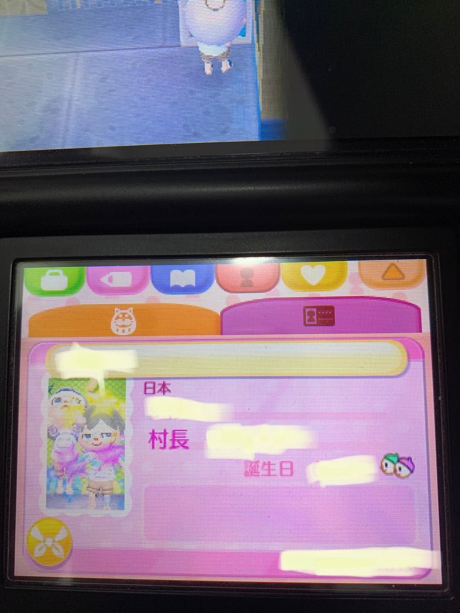 とびだせ どうぶつの森 神データ やり込み