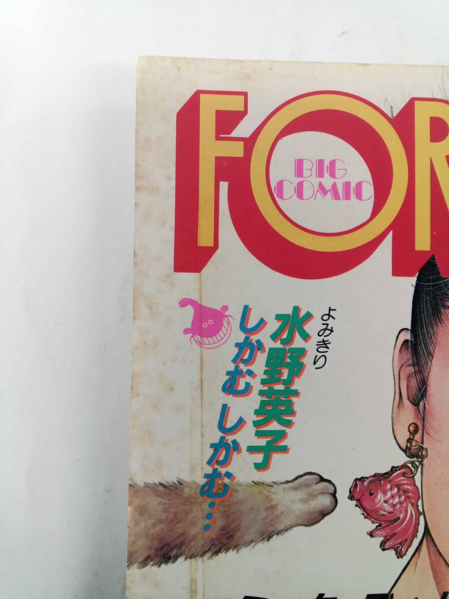 FOR LADY フォアレディ 昭和57年 8月号　水野英子 竹宮恵子 牧美代子 ささやななえ 紗枝奈緒 小池一夫 中村真理子 平田真紀子 _画像8