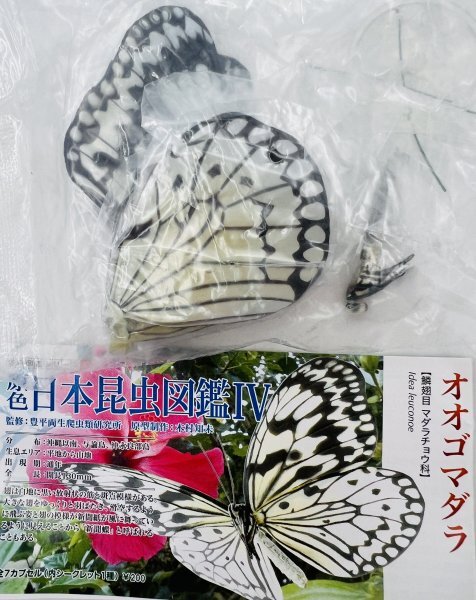  труба 649/ нераспечатанный . цвет Япония насекомое иллюстрированная книга Ⅳ 4 вид 7 шт Eugene Yujin не собран инструкция есть 