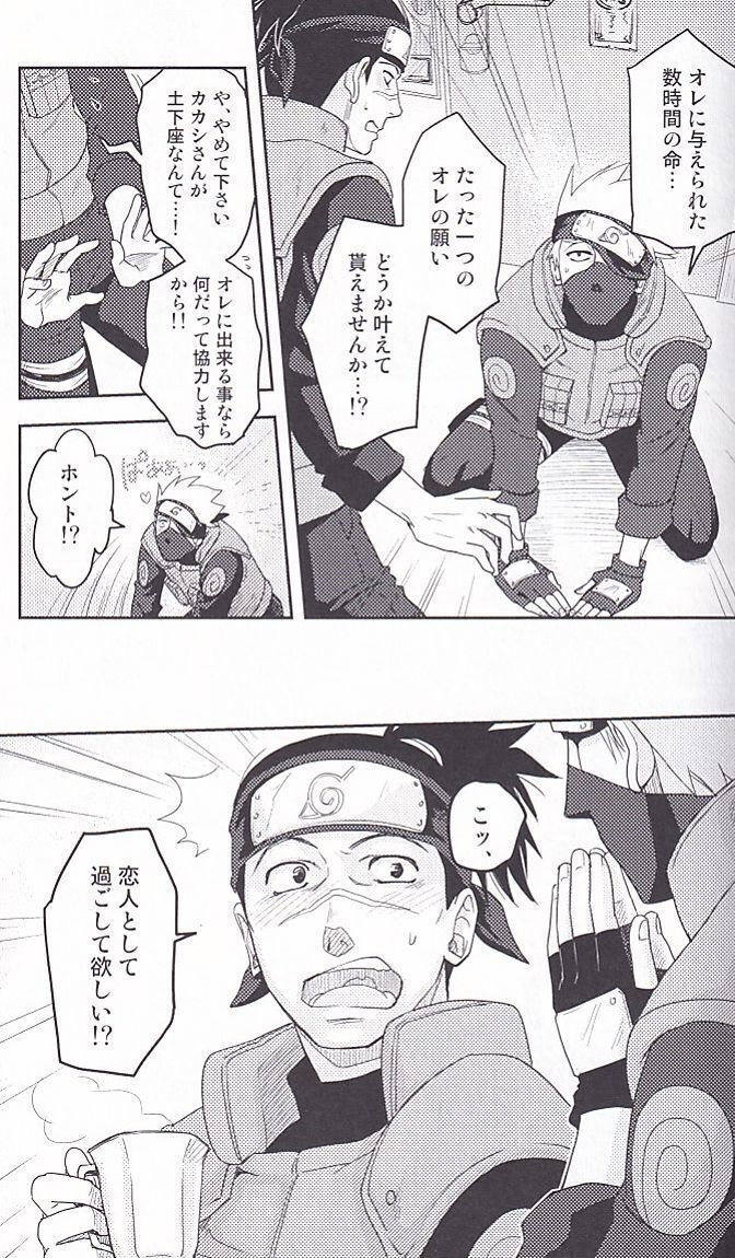 NARUTO■巽堂「摸細工4」【再録】カカイル　カカシ×イルカ 116P_画像2