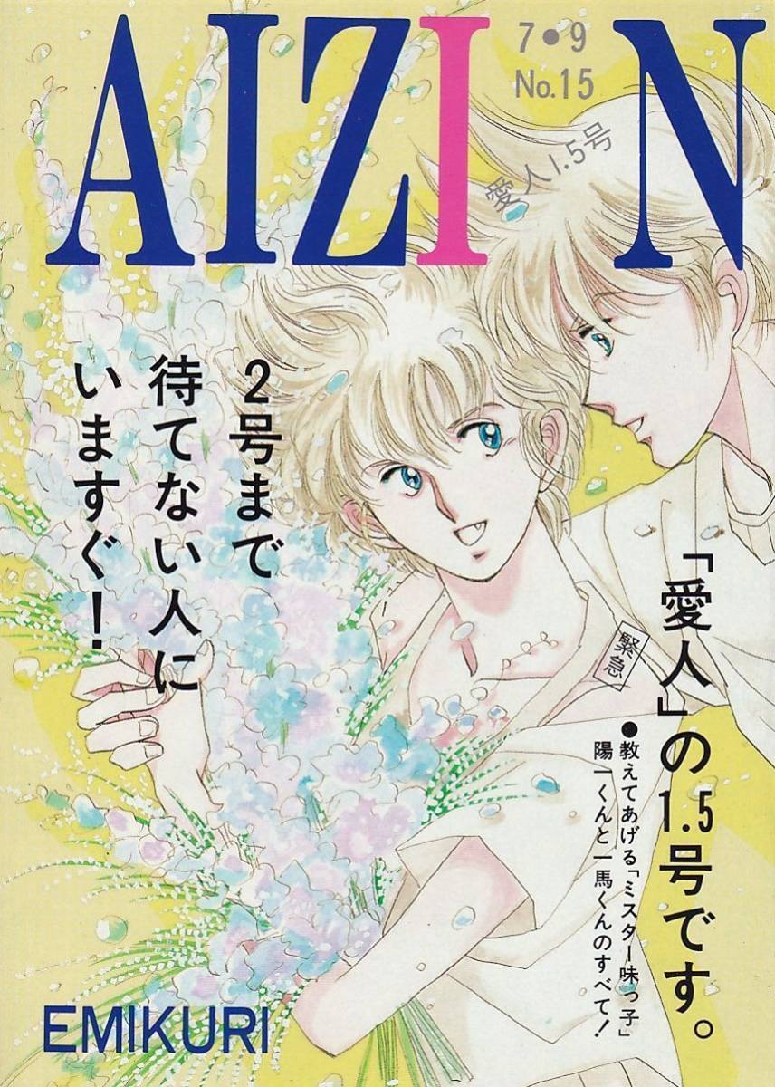 ミスタ－味っ子■えみくり「愛人 ４冊セット」陽一×一馬 458P_画像5