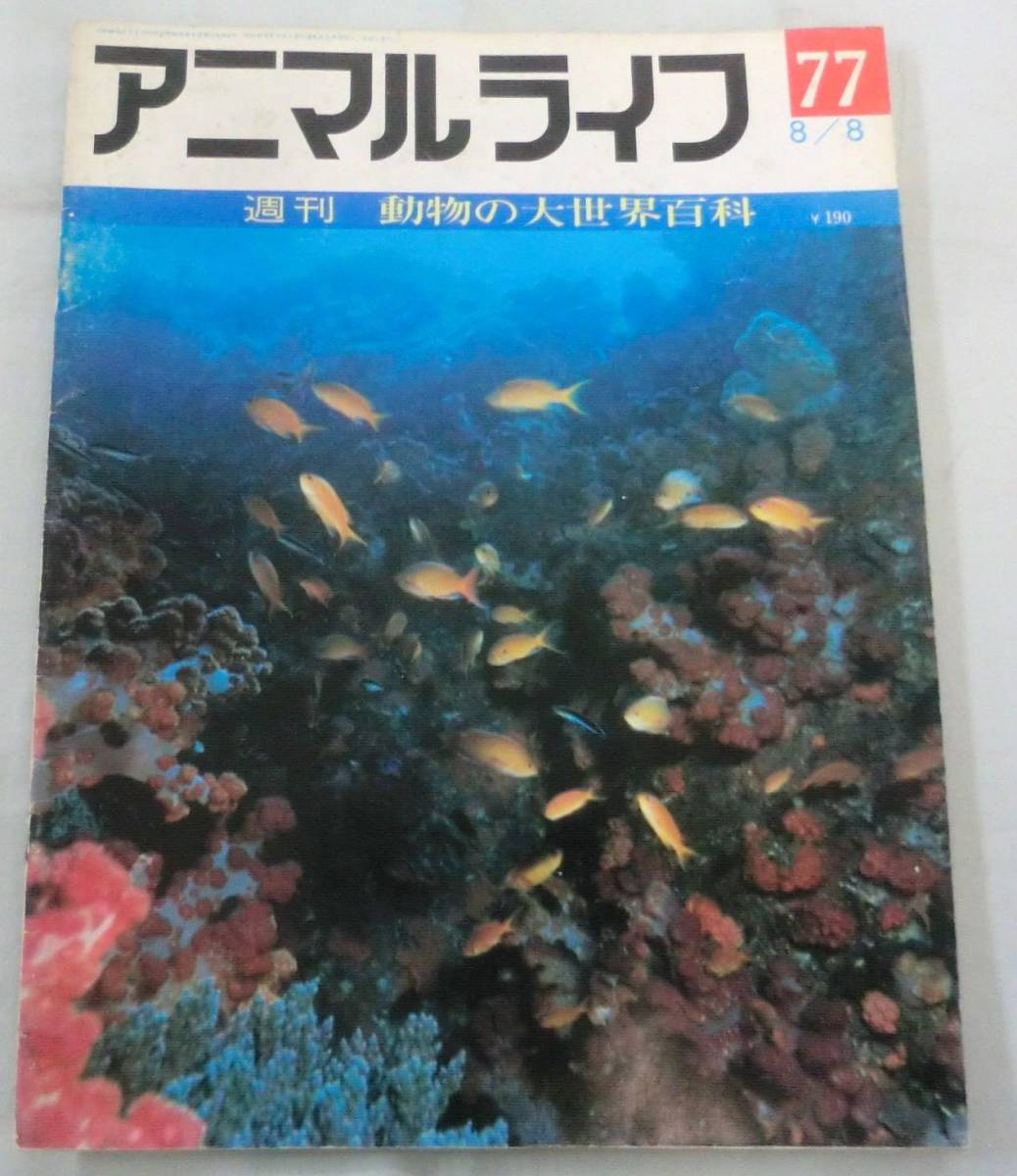 古書◆雑誌◆S47年 週刊アニマルライフ第７７号 ◆ セミイルカ★セミクジラ★セミホウボウ★セラチウム★センザンコウ★_画像1