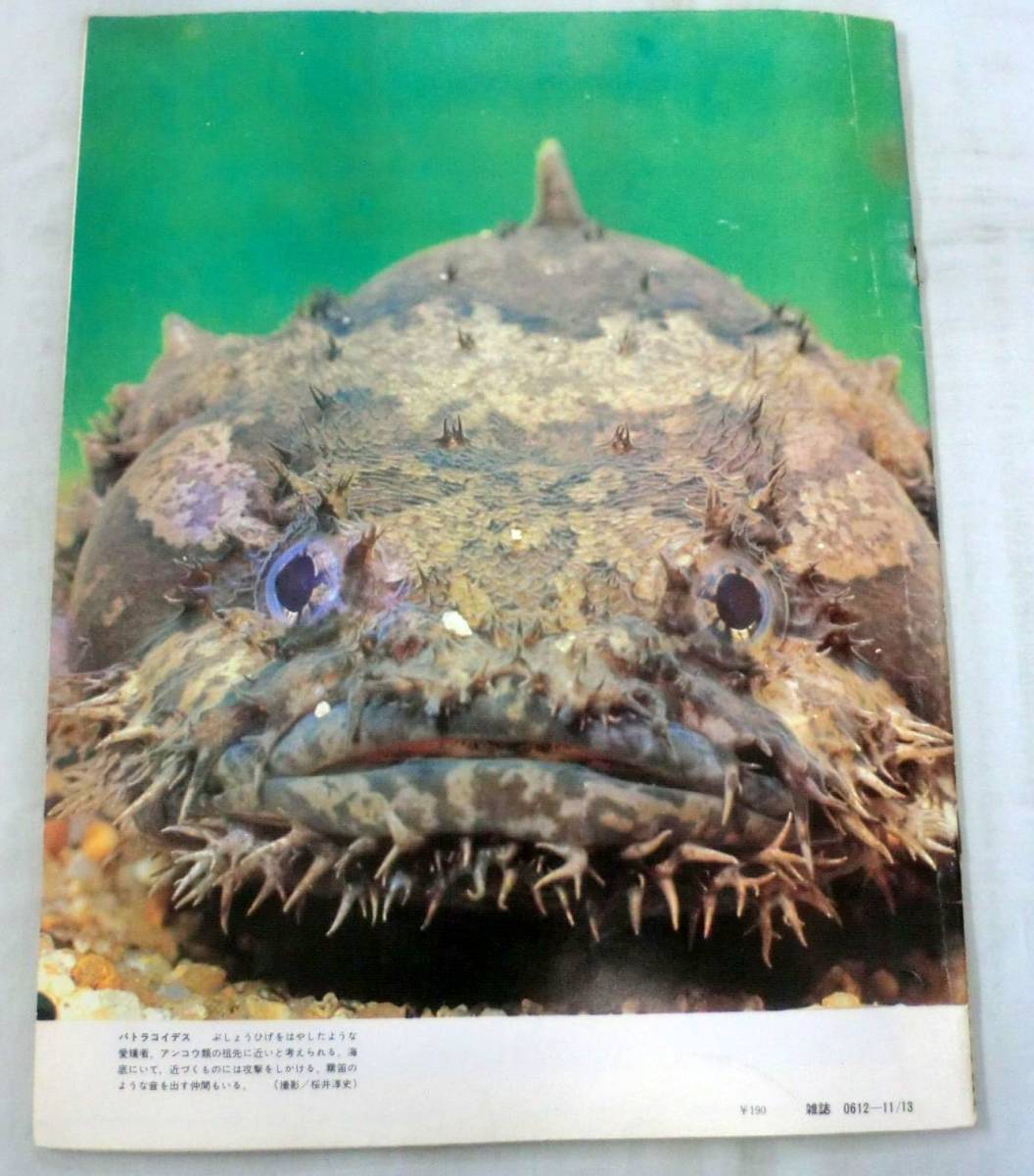 ヤフオク 古書 雑誌 S48年 週刊アニマルライフ第143号 ヤフオク 古書 雑誌 S48年 週刊アニマルライフ第143号