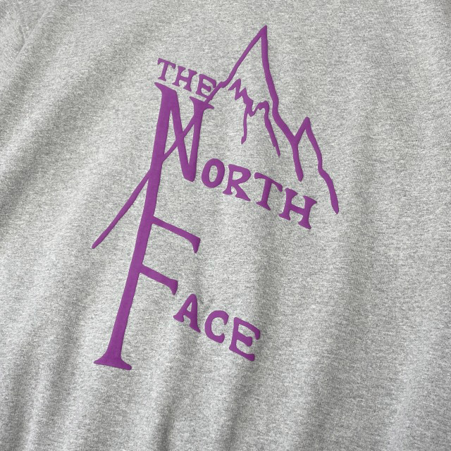 1円～!売切!【正規新品】THE NORTH FACE SHORT SLEEVE 1966 HOODIE パーカー US限定 立体ロゴ 裏起毛 上質 男女兼用(M)グレー 181130-33 の画像5