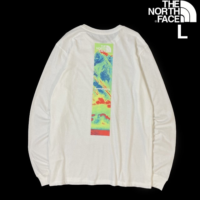 1円～!売切!【正規新品】THE NORTH FACE◆L/S GRAPHIC INJECTION TEE 長袖 Tシャツ ロンT US限定 レインボー 男女兼用(L)白 180902-5の画像1