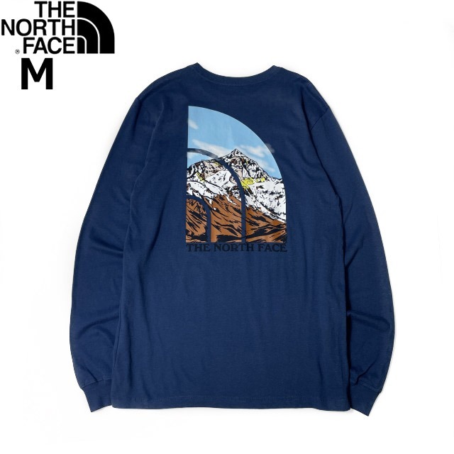 1円～!売切!【正規新品】THE NORTH FACE◆L/S GRAPHIC INJECTION TEE 長袖 Tシャツ ロンT US限定 ビッグロゴ 男女兼用(M)青 180902-5の画像3