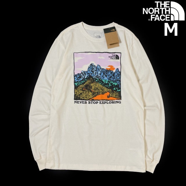 1円～!売切!【正規新品】THE NORTH FACE◆L/S GRAPHIC INJECTION TEE 長袖 Tシャツ ロンT US限定 グラフィック 上質(M)白 180902-5の画像1