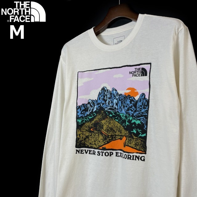 1円～!売切!【正規新品】THE NORTH FACE◆L/S GRAPHIC INJECTION TEE 長袖 Tシャツ ロンT US限定 グラフィック 上質(M)白 180902-5の画像2