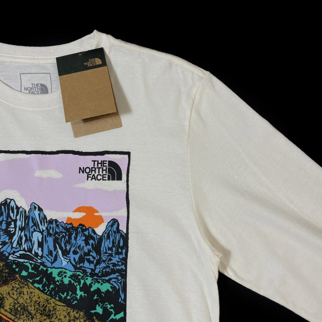 1円～!売切!【正規新品】THE NORTH FACE◆L/S GRAPHIC INJECTION TEE 長袖 Tシャツ ロンT US限定 グラフィック 上質(XL)白 180902-5の画像4