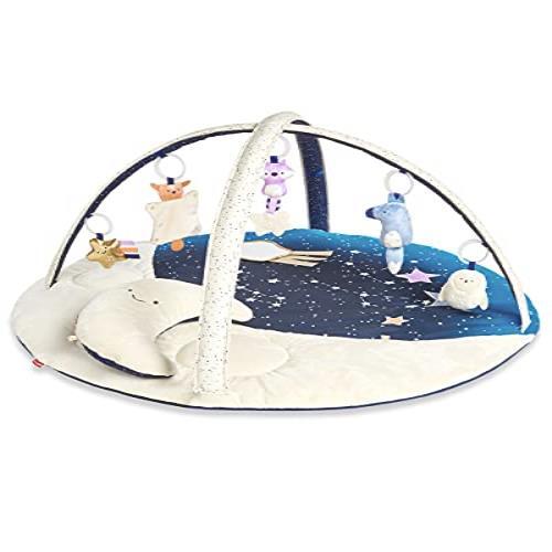 * free shipping SKIP HOPskip ho p Night moon * baby gym TYSH002110 play mat Play Jim celebration of a birth present [ limited time ]