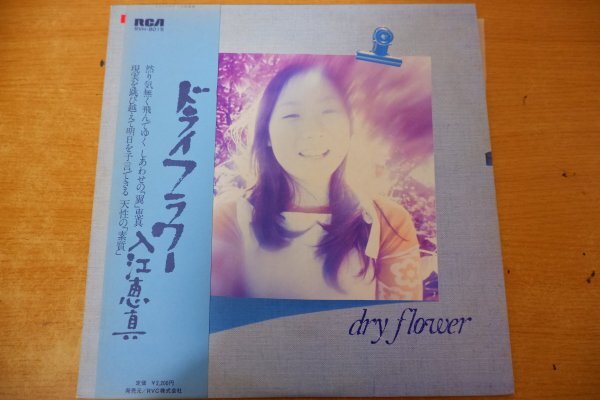 O3-113＜帯付LP/プロモ/美盤＞入江恵真 / ドライフラワー_画像1