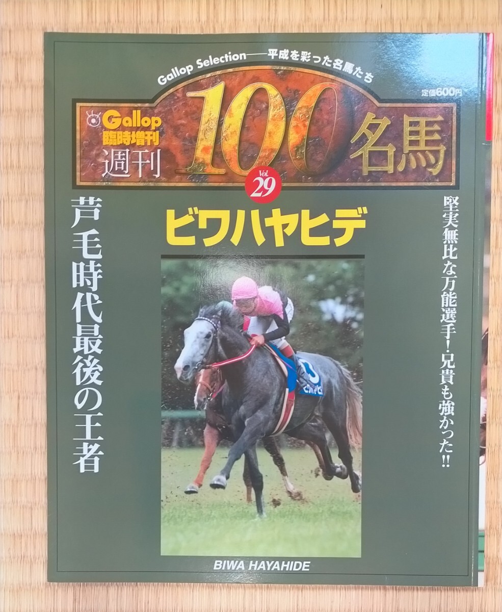 本 競馬 週刊Gallop 臨時増刊 ビワハヤヒデ vol.29 美品 岡部幸雄 中央競馬 ギャロップ Gallop BIWA HAYAHIDEの画像1