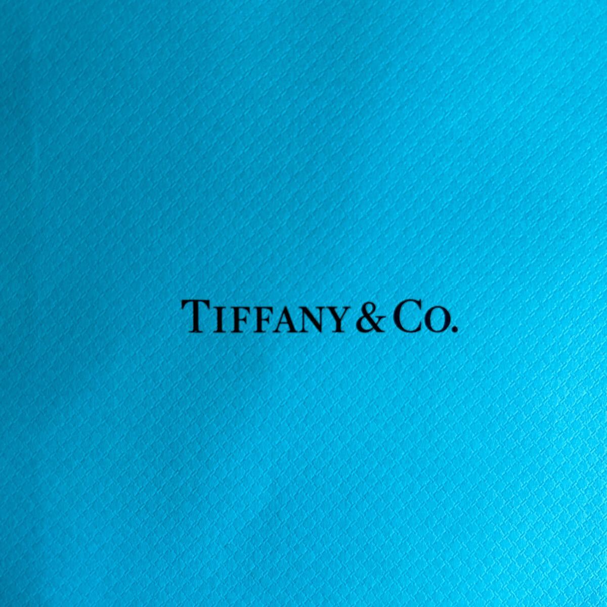 TIFFANY ティファニー 紙袋 ショップ袋 ショッパー 新品未開封非売品　送料140_画像3