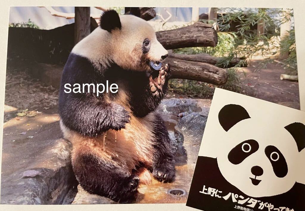 シャンシャン 貴重 レア 受注終了 「栓抜きシャンシャン」上野動物園公式写真ポストカード ＋ 非売品 ステッカー ジャイアントパンダの画像1