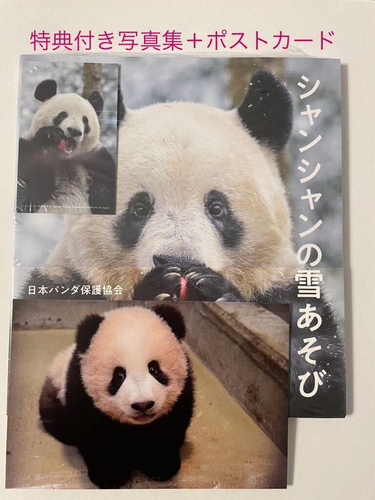 特典ミニカード①付き写真集「シャンシャンの雪あそび」＆ シャンシャン 貴重 受注終了 上野動物園公式写真ポストカード　セット_画像1