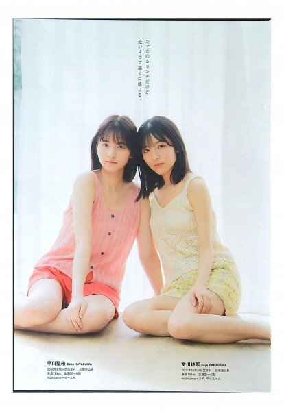 AA299 早川聖来×金川紗耶（乃木坂46）◆切り抜き 6ページ 切抜き_画像2