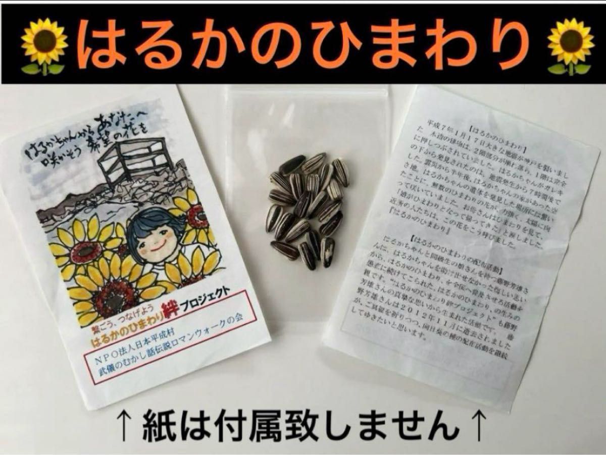 朝顔の種　1000粒+α  ひまわりの種　ルコウソウなど　色々セット♪ ◆即日発送☆送料込み◆