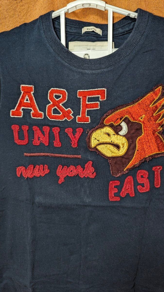 アバクロンビー&フィッチ Abercrombie&Fitch  ビンテージ風半袖Ｔシャツ　ネイビー