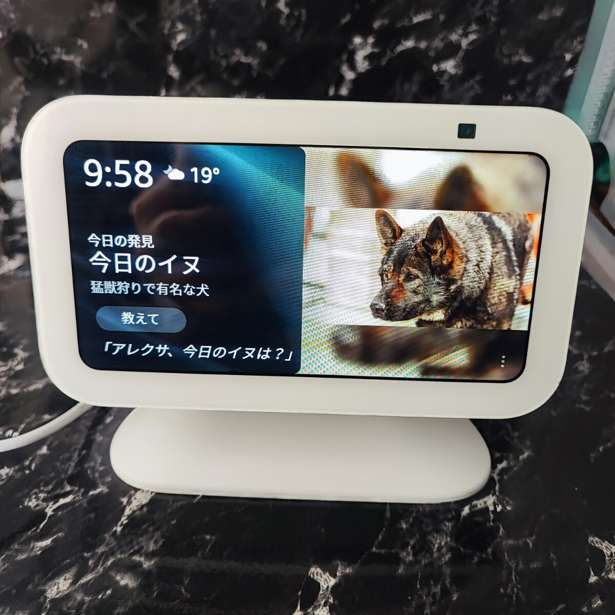  Echo Show5 第3世代　クラウドブルー　＋　USB-C充電ポート付き角度調節スタンド セット Amazon アマゾン_画像2