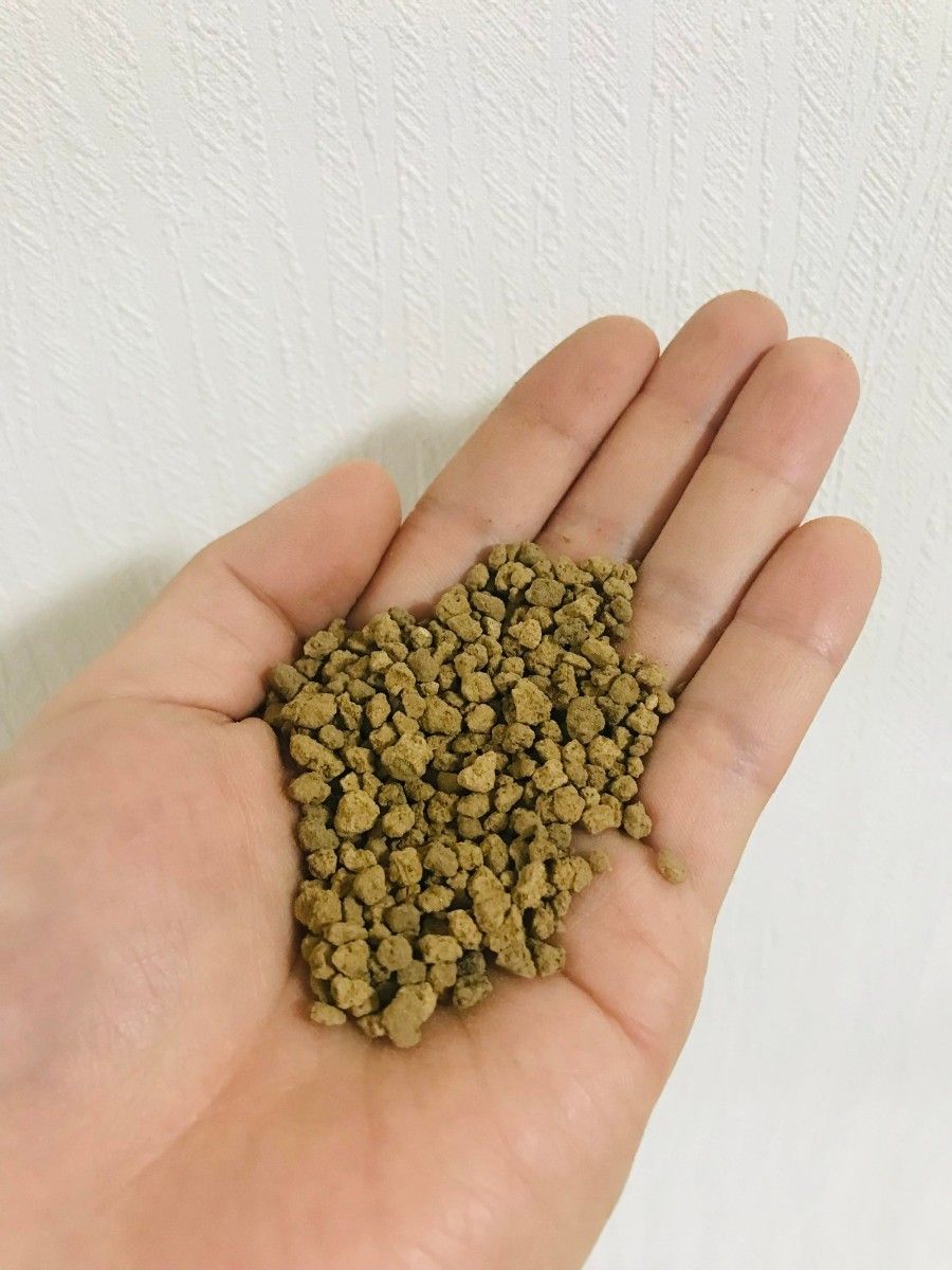 硬質赤玉土 小粒 約1L 多肉植物 サボテン 観葉植物土 魂根植物