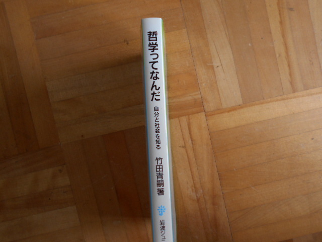 竹田青嗣　「哲学ってなんだー自分と社会を知る」　岩波ジュニア新書_画像3