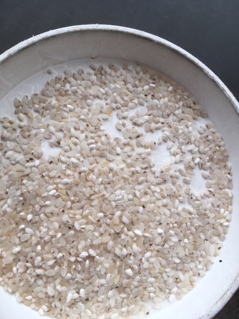「全国的にくず米が不足高騰」B-1うるちくず米 鳥餌 20kg(10kg×2) 関東、北陸、中部、近畿のみ定額発送の画像1