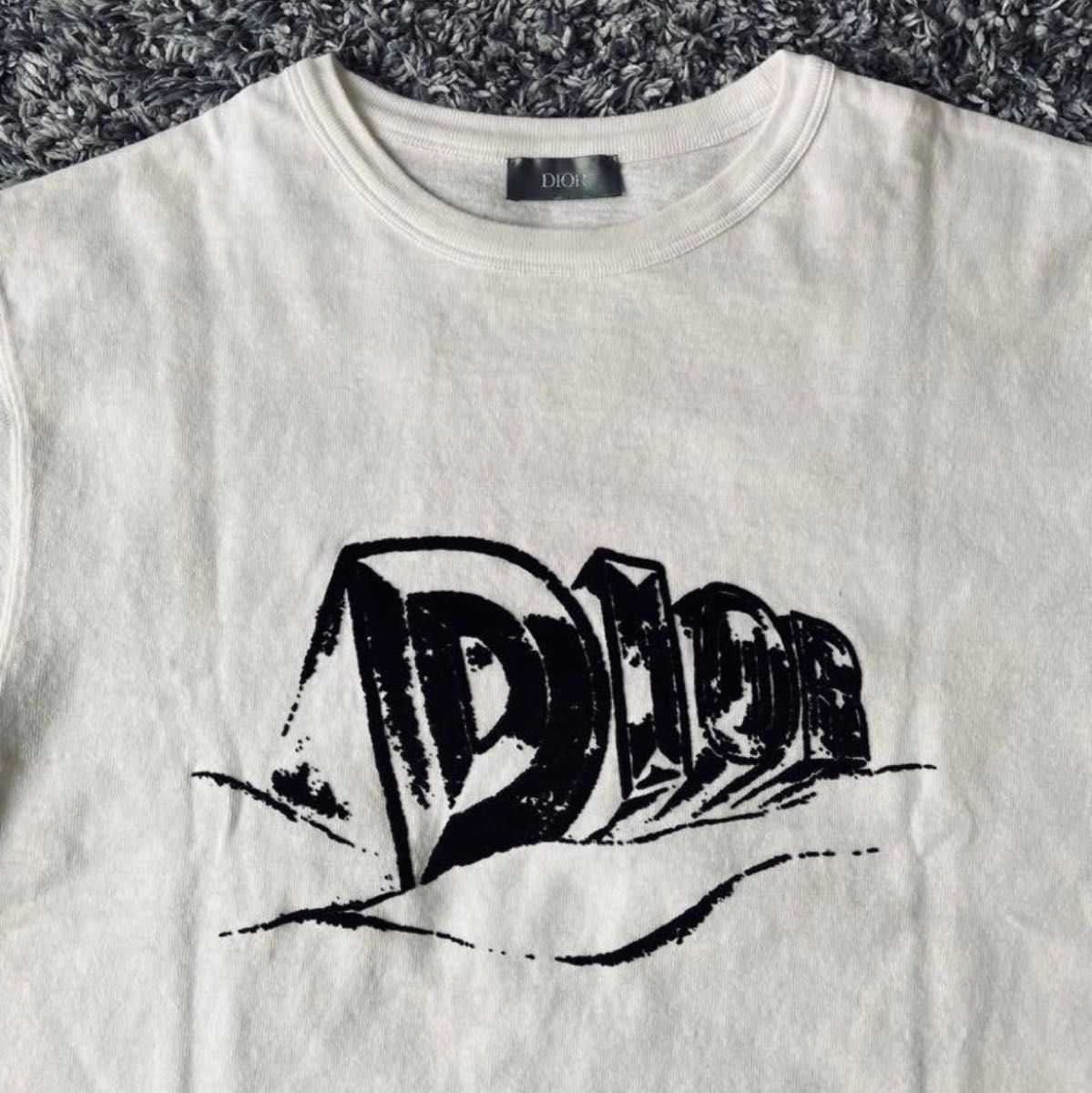 【極美品！！】DIOR ディオール　Tシャツ　カットソー　トップス　ロゴ　23AW メンズ　サイズM 