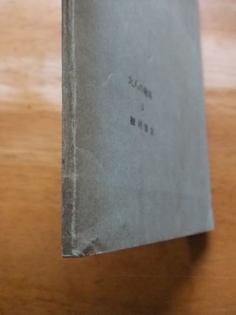 童話　皇帝の新しい着物＝裸の王様　アンデルセン　訳：大畑末吉　1947年発行　細川書店　大人の絵本3_画像8