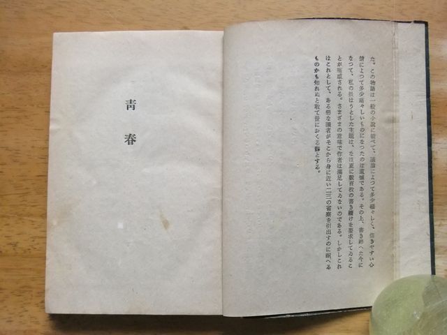 青春　伊藤整　昭和22年発行　八雲書店_画像6