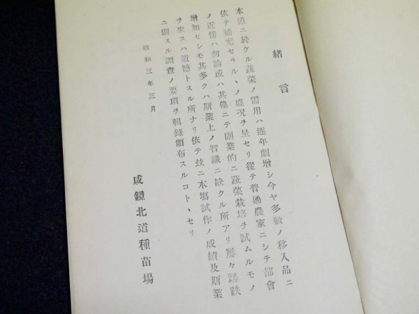 戦前 昭和3年 日本統治時代の朝鮮発行の古書「咸鏡北道種苗場編纂 蔬菜栽培要項」資料 古本 korea_画像5