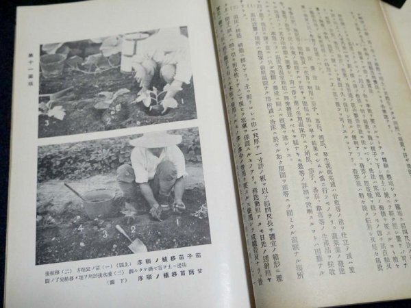  war front Showa era 3 year Japan .. era. morning . issue. old book [. mirror north road kind seedling place compilation ... cultivation necessary section ] materials secondhand book korea