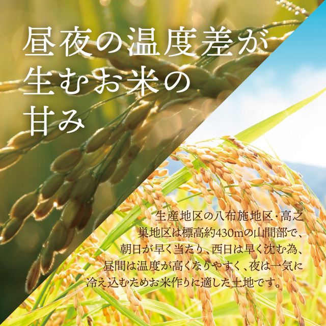 令和5年産 一等米　希少コシヒカリ！はちたか米 10kg_画像10