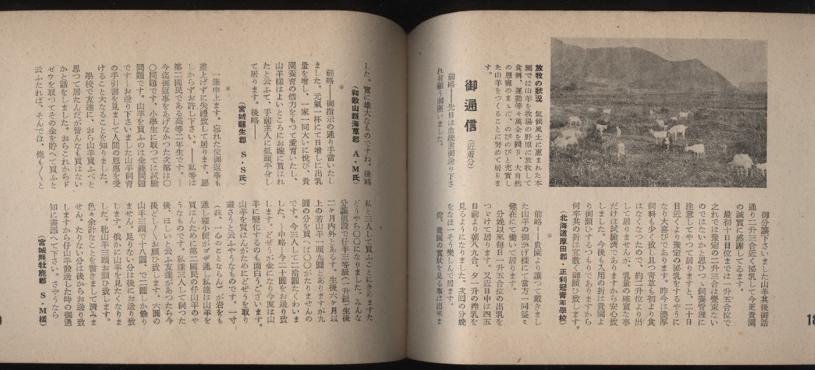 更新山羊園　町田親次著　案内小冊子１冊　戦前　　：乳用山羊について・山羊乳の栄養価・ヤギ飼育・飼料・ザーネン種_画像10