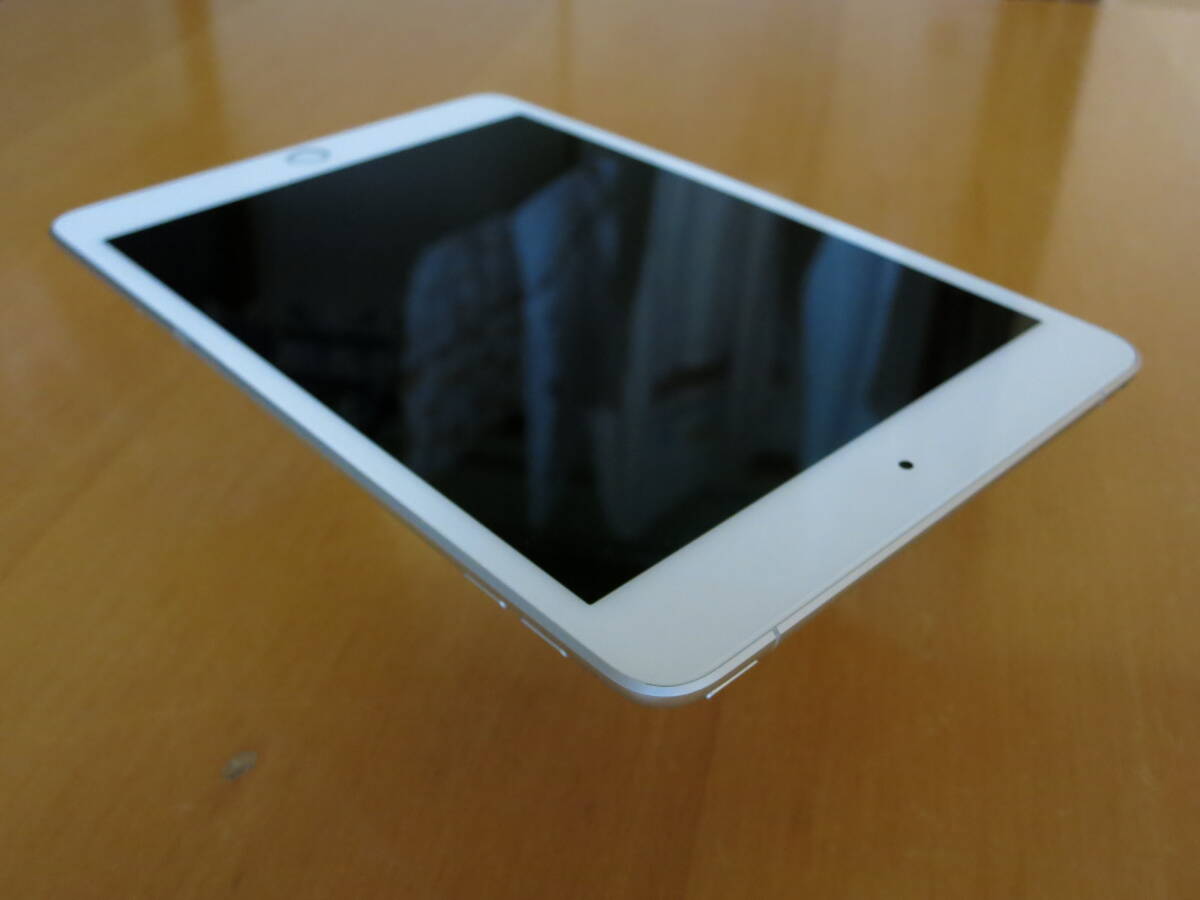 【美品】iPad mini 5 FiWi+Cellular 64GB シルバー SIMフリー 第5世代の画像6