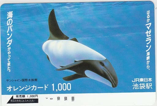 ＪＲ東日本「海のパンダ」1穴使用済みの画像1