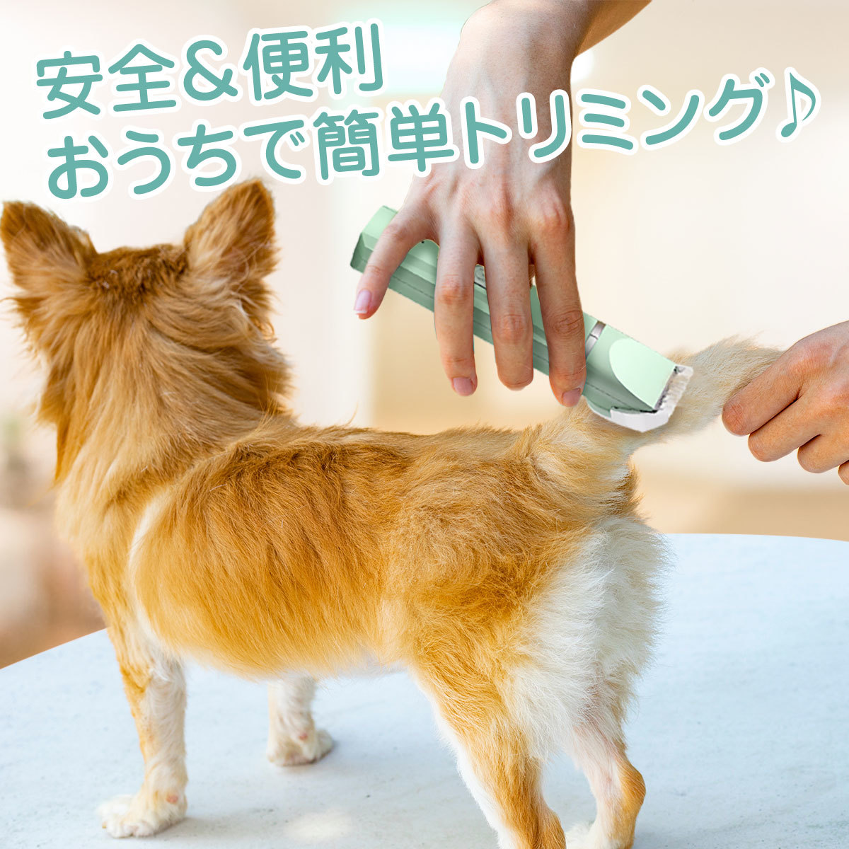 バリカン 犬 猫 ペット用 電動 静音 4点セット トリミング グルーミング アタッチメント USB充電式 足裏 肉球 爪_画像3