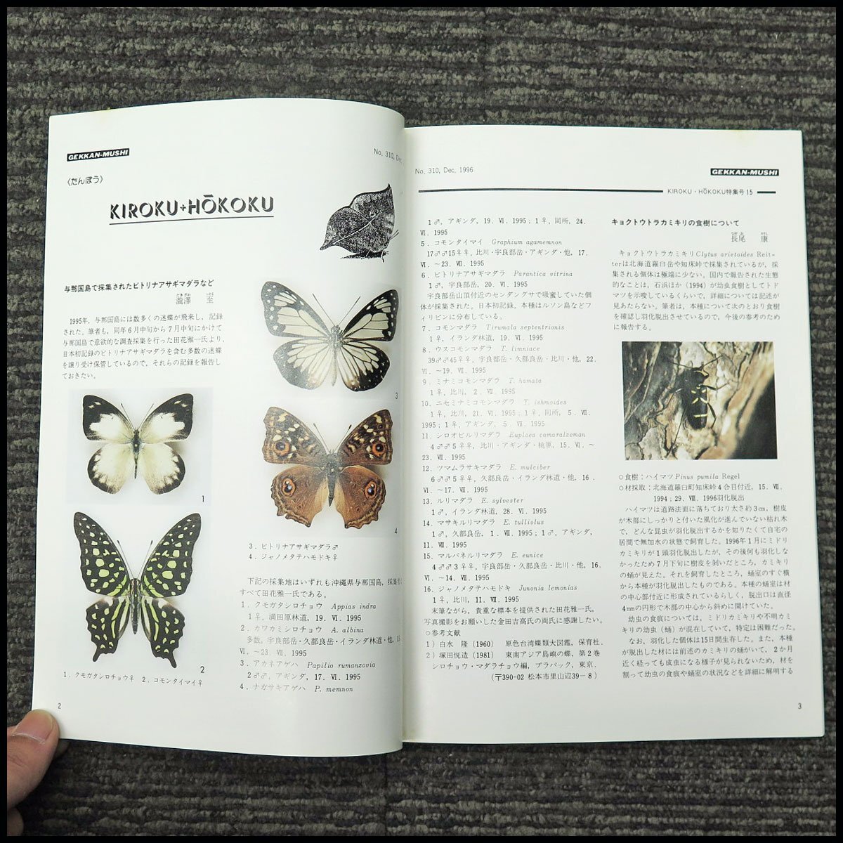 ●322冊 むし社 月刊むし 1996年10月～2023年7月までコンプリート 抜けなし 308号～629号 【現状品】 昆虫専門月刊誌の画像2