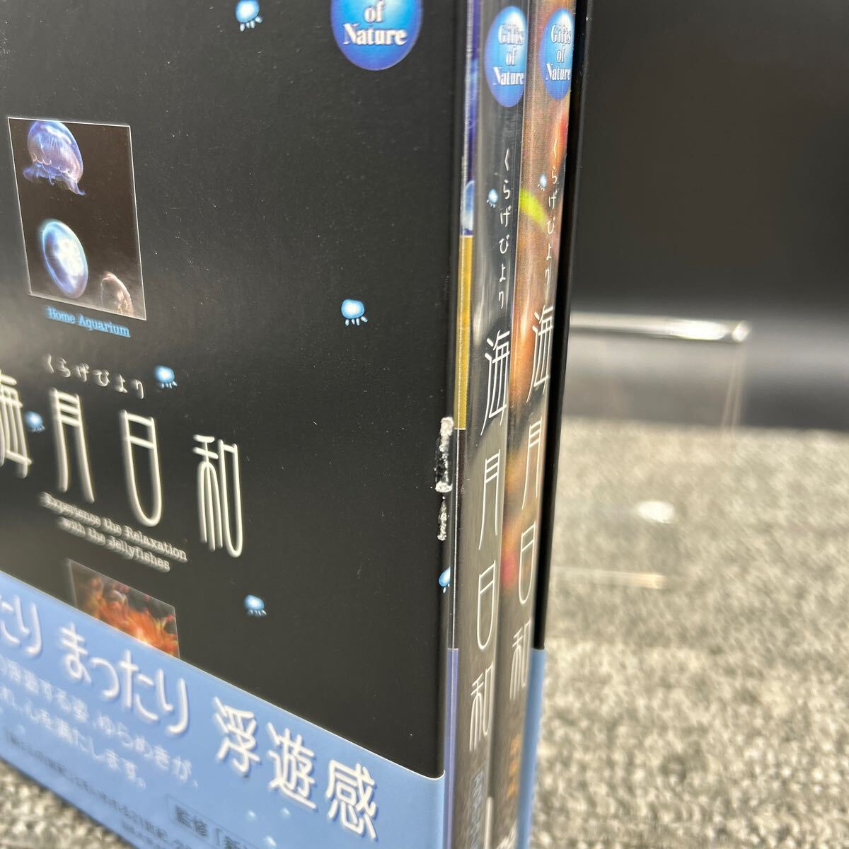 Ｌ１　海月日和　くらげびより　監修 新江ノ島水族館　DVD-BOX_画像9