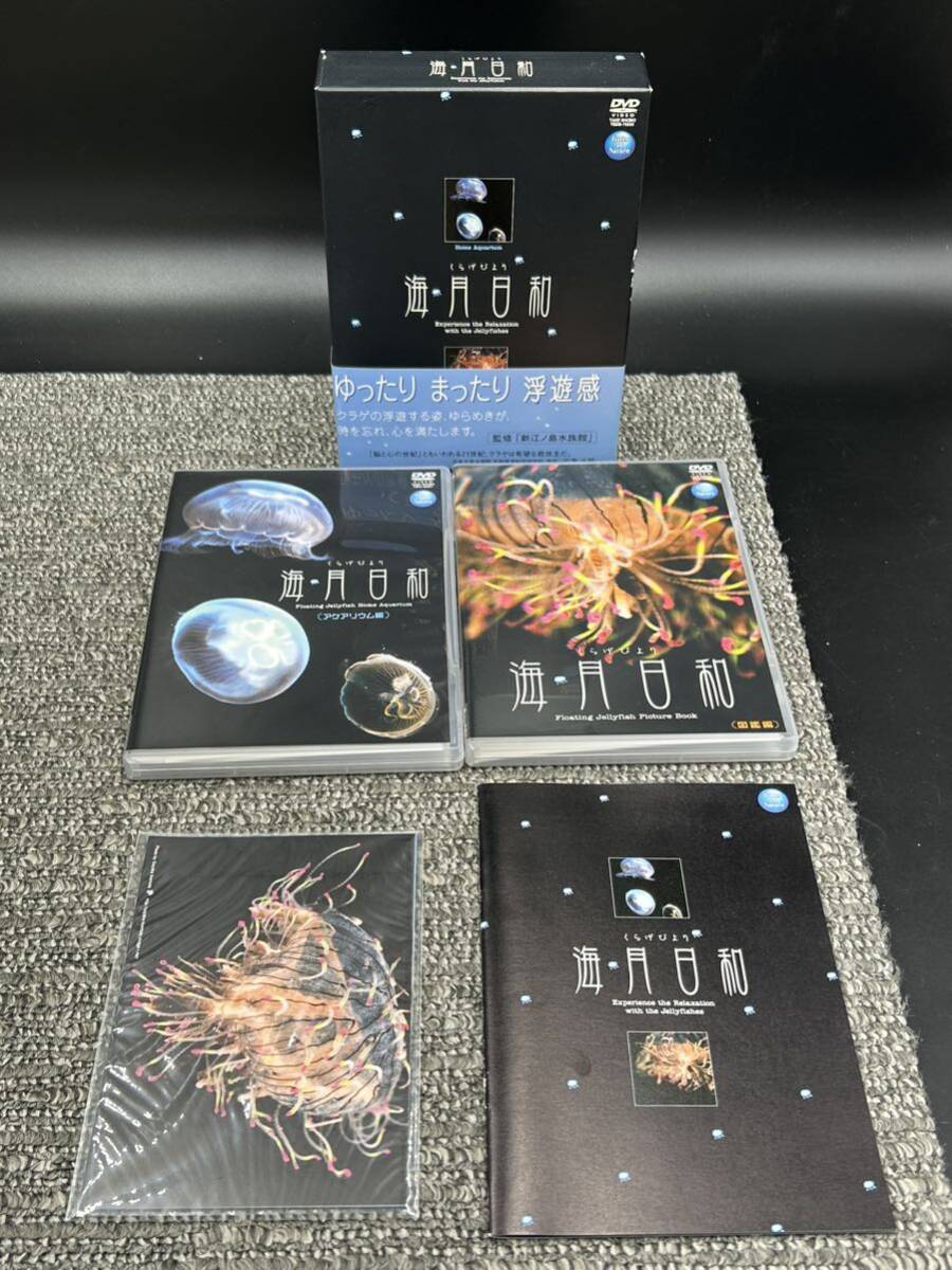 Ｌ１　海月日和　くらげびより　監修 新江ノ島水族館　DVD-BOX_画像1