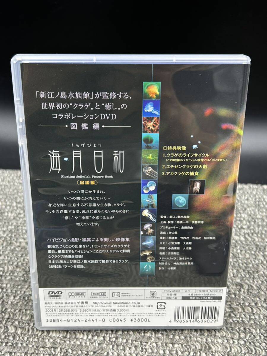 Ｌ１　海月日和　くらげびより　監修 新江ノ島水族館　DVD-BOX_画像5
