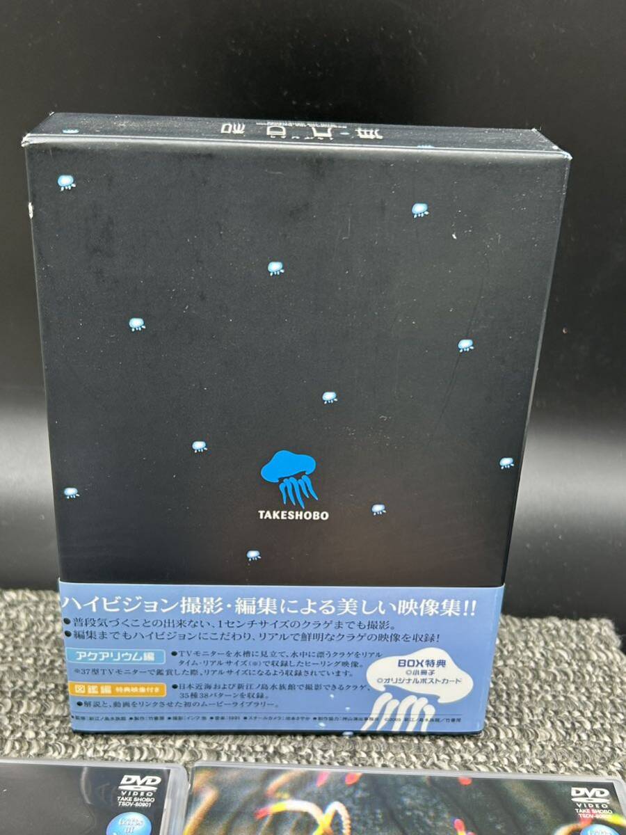 Ｌ１　海月日和　くらげびより　監修 新江ノ島水族館　DVD-BOX_画像4