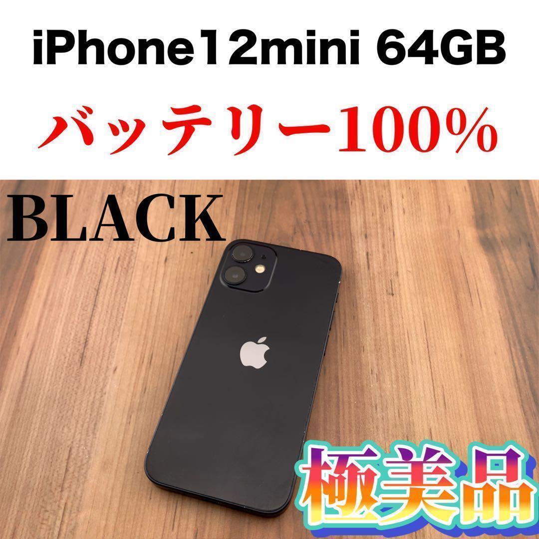 71iPhone 12 mini ブラック 64 GB SIMフリー本体