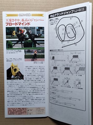  horse racing JRAre- Pro 20010414 Nakayama Grand Jgo- kai /sa light vi glass /M Broad ma India S UGG Nesta ki on Dan tsu frame N air car Karl 