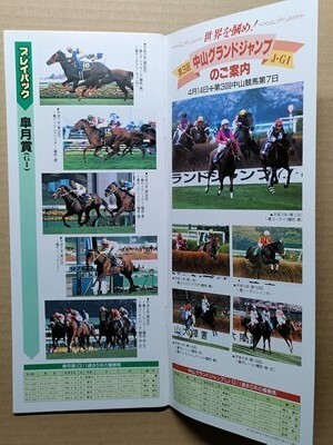  horse racing JRAre- Pro 20010414 Nakayama Grand Jgo- kai /sa light vi glass /M Broad ma India S UGG Nesta ki on Dan tsu frame N air car Karl 