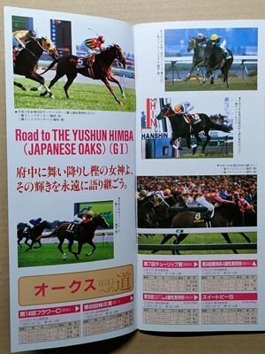 競馬 JRA レープロ20000520東京 目黒記念ステイゴールド /Hローゼンカバリー サクラローレル Nメジロドーベルエアグルーヴダンスパートナー_画像1