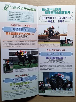 競馬 JRA レープロ20000813中山 クラウンピース /Sエアザイオン エアデジャヴー レインボークイーン サクラキャンドル/Kスプリングバンブー_画像1