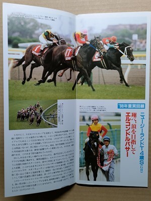  horse racing JRAre- Pro 990424 Tokyo american Boss /# L Condor pasa-H SeaKing The pearl fa flyer sla fin hisi Amazon U flower park 