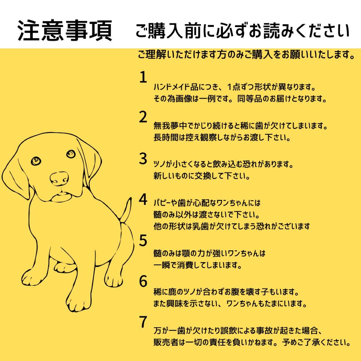 大型犬用　バラエティ鹿ツノ3本セット　半割り＆半割り＆一本物　犬のおもちゃ　北海道産エゾ鹿の角　鹿の骨