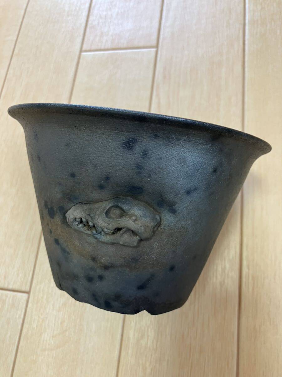陶器鉢  セット②サボテン  アガベ  アロエ  塊根植物  ユーフォルビア  多肉植物  invisibleink の画像1