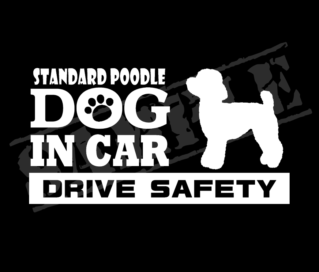 ★☆DOG IN CAR・DRIVE SAFETY　スタンダードプードル　ワンちゃんステッカー☆★_画像1